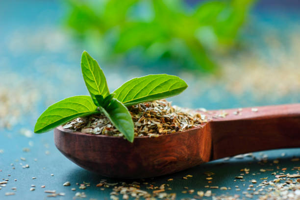 holy basil or tulsi leaves powder