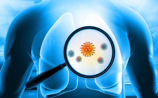 magnifying glass finding virus bacteria in human lungs. 3d illustration